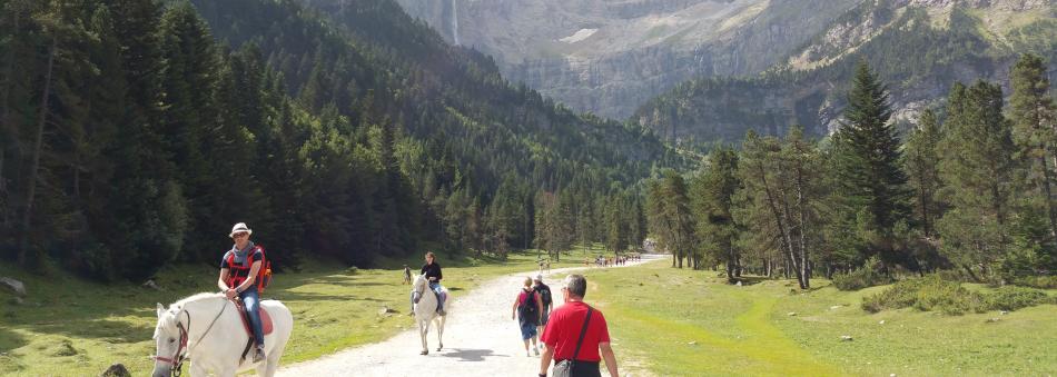 tourisme et activités à proximité du camping