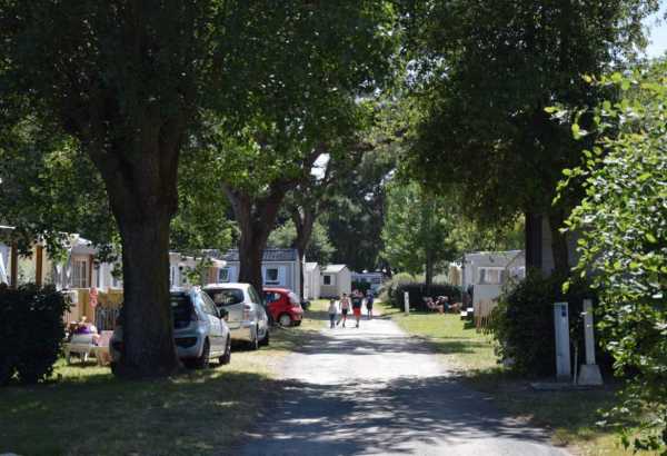 Allée du camping - Camping dans un cadre arboré