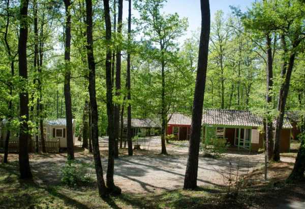 Mobil-homes - Les mobil-homes dans un cadre arboré