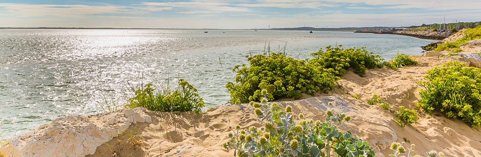 tourisme et activités à proximité du camping