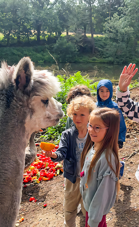 Camping du Quinquis parc animalier