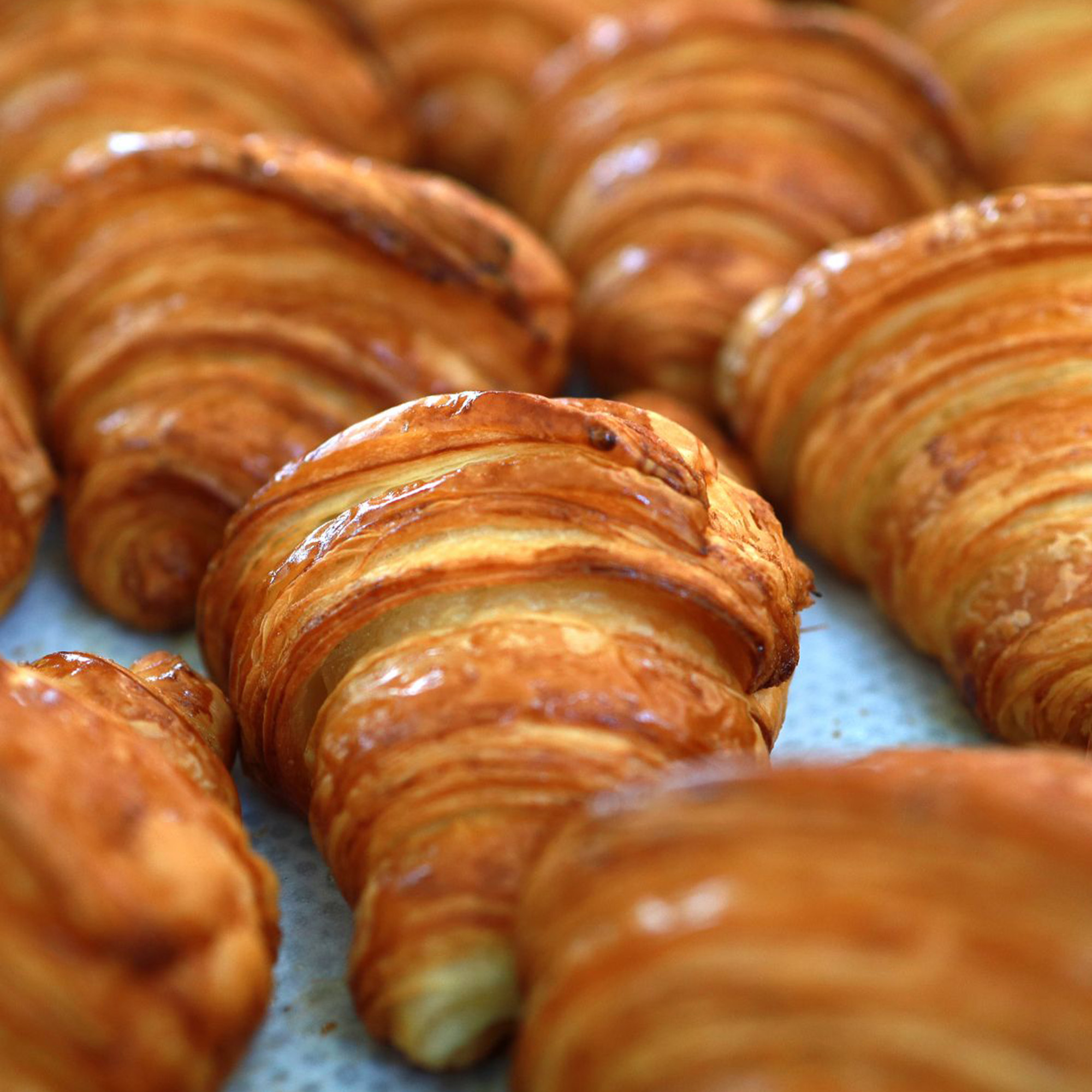 Camping le Domaine de Beaulieu depot pain