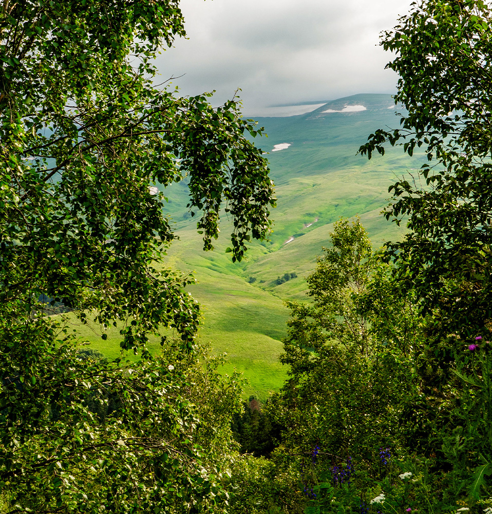 Les Lacs d'Armagnac campsite view of the surrounding lake