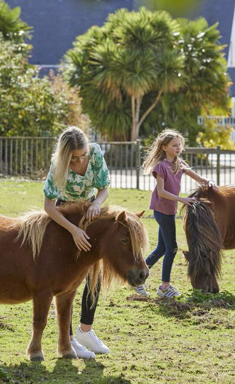 Camping les jardins du Morbihan mini ferme