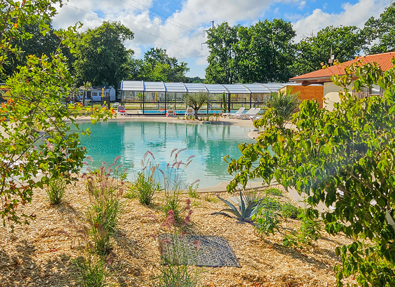 LE VIEUX MOULIN pisicnes