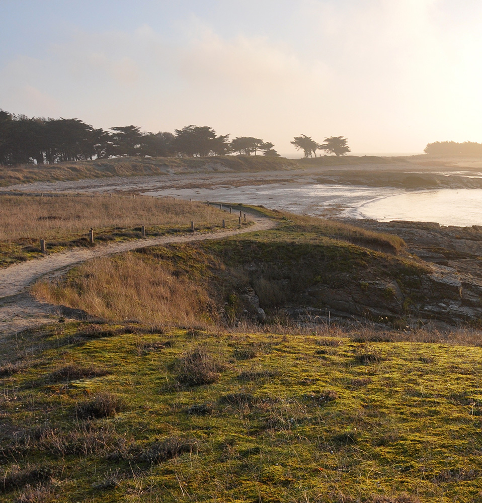 Landschappen van Morbihan
