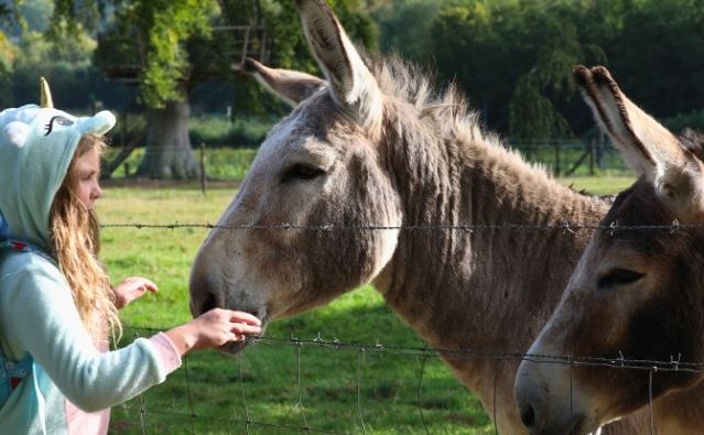 camping baie de somme mobile hom xxl