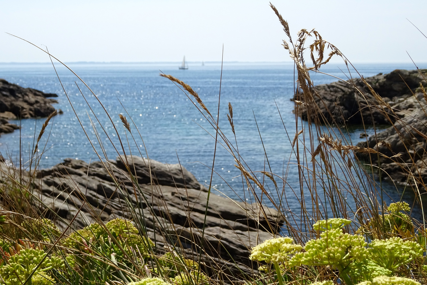 campingplatz morbihan