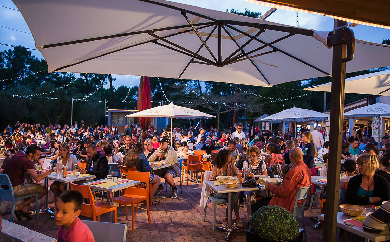 camping palmyre soirées