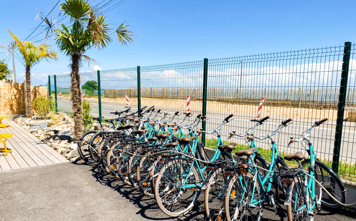 camping ostrea fietsverhuur