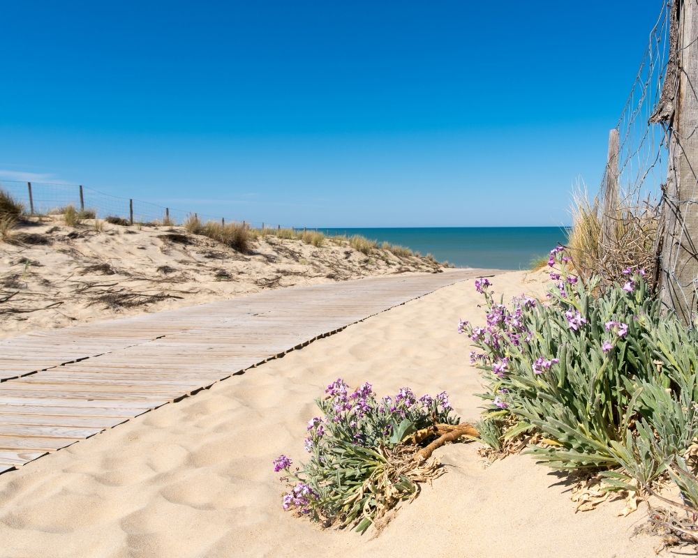 Mobil-home XXL aquitaine (1)