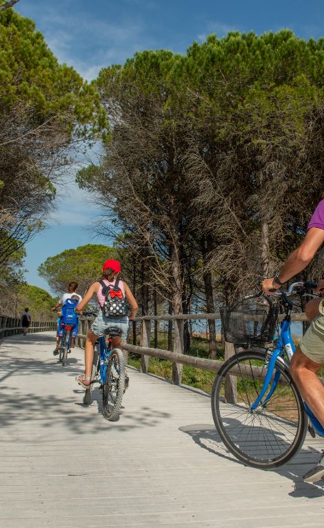 pistes cyclables (1)