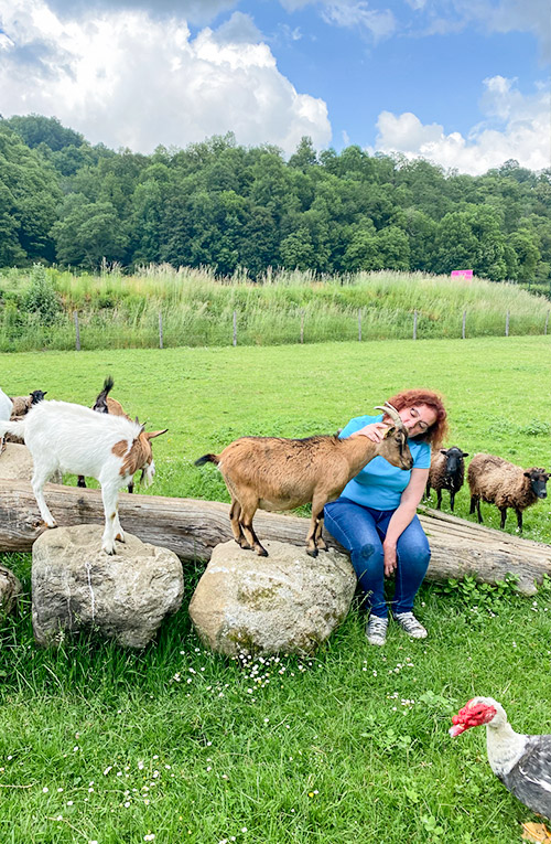 a lombre des tilleuls mini ferme