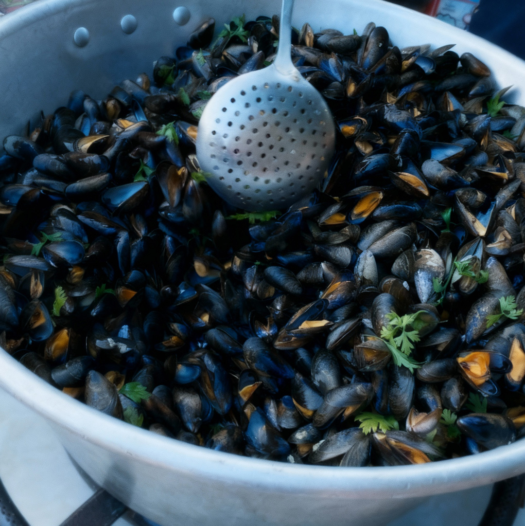 campsite lot evasion moules